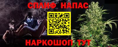 сатива Будённовск