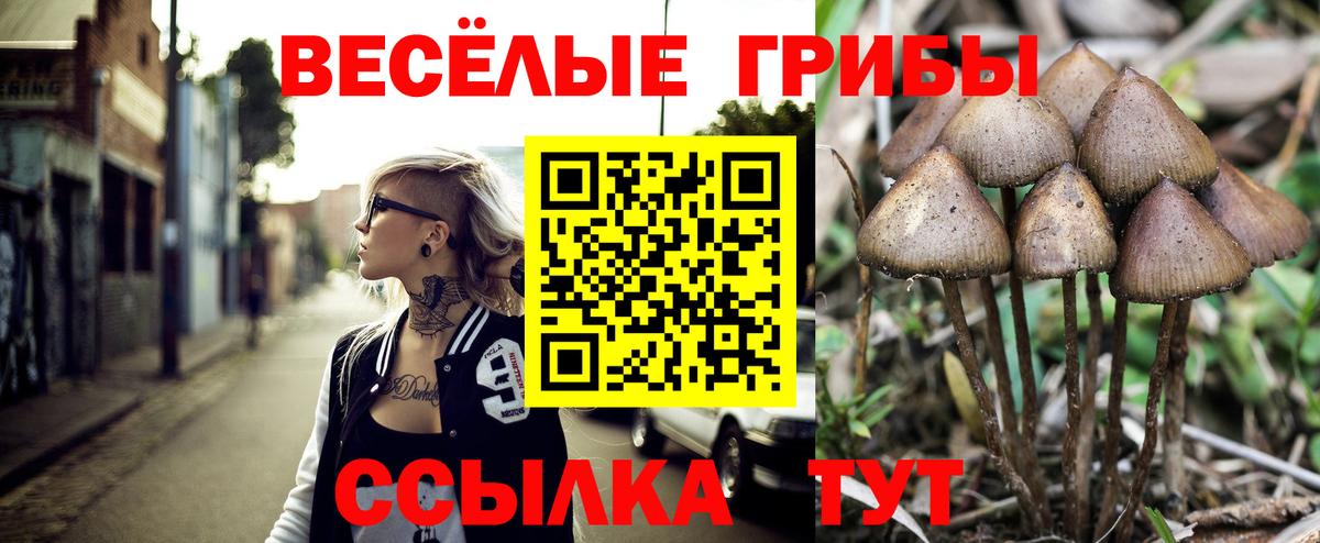 Псилоцибиновые грибы мицелий  Вход с VPN  Златоуст  Псилоцибиновые грибы MAGIC MUSHROOMS 